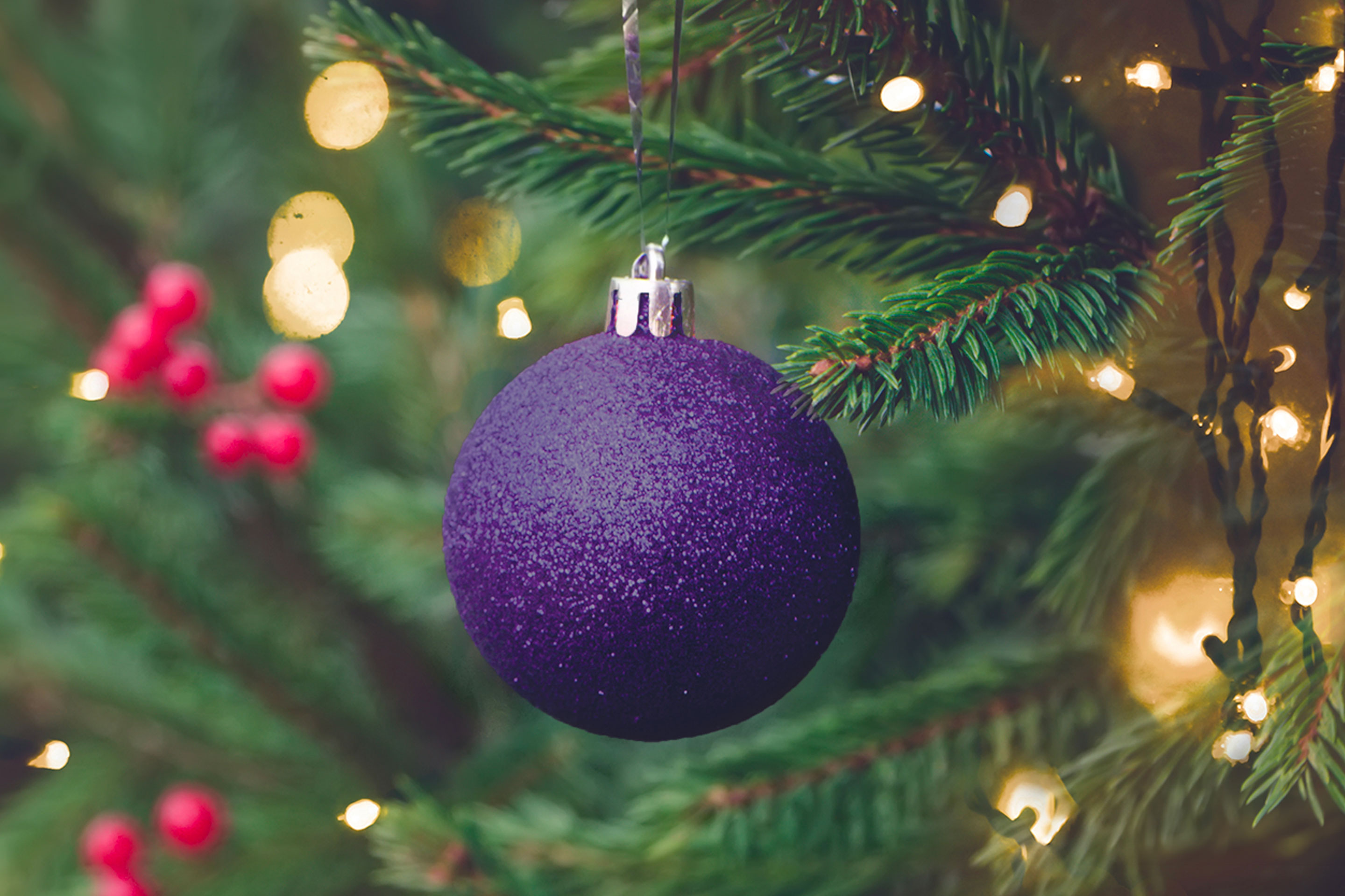 An image of a Christmas tree to represent holiday season